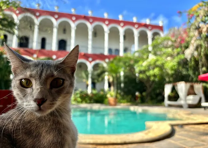 Villa Merida Luxury Mansion - Adults Only Boutique Hotel Mérida